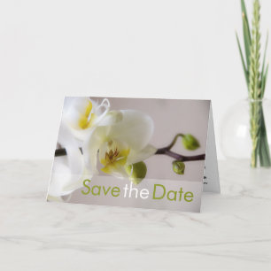 Orchidée blanche Enregistrer la carte de date