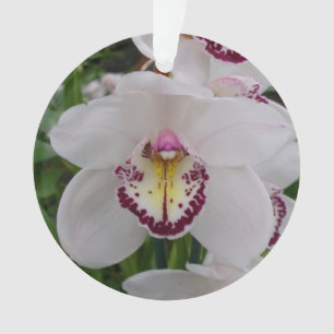 Orchidée blanche II Élégante florale
