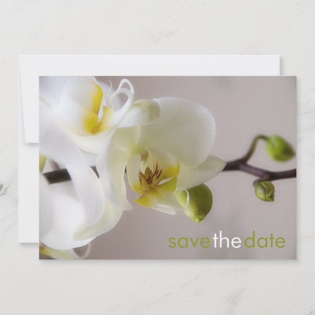 Orchidée blanche ・ Save the Date Carte (Devant)