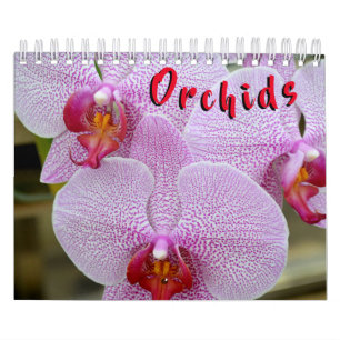 Orchidée calendrier de 12 mois