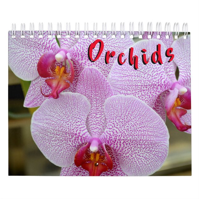Orchidée calendrier de 12 mois (Protection)