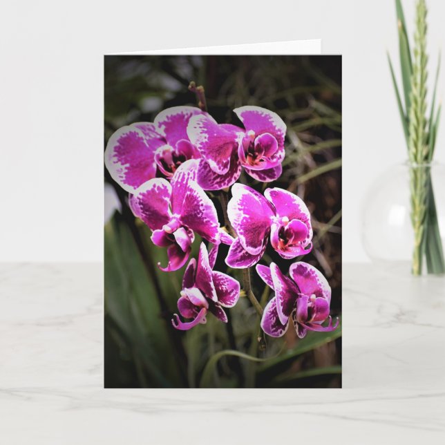 Orchidée, carte (Devant)