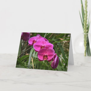 Orchidée, carte