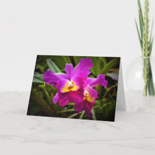 Orchidée, carte