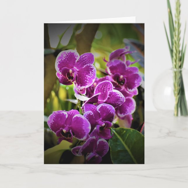 Orchidée, carte (Devant)