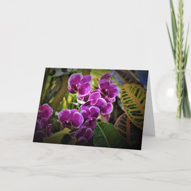 Orchidée, carte (Devant)