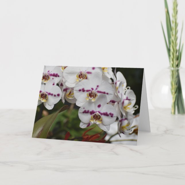 Orchidée, carte (Devant)