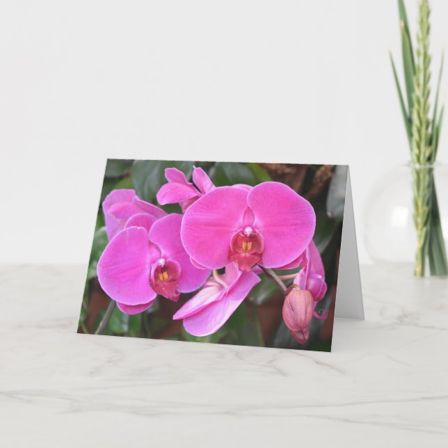 Orchidée, carte (Devant)