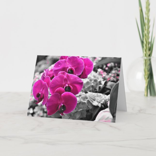 Orchidée, carte (Devant)