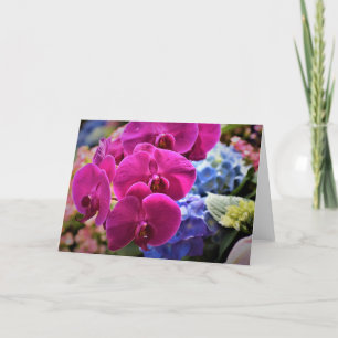Orchidée, carte