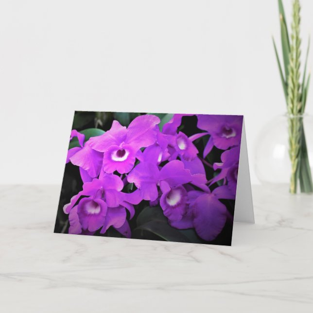Orchidée, carte (Devant)