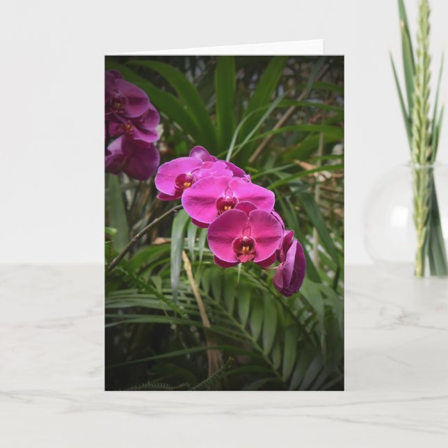 Orchidée, carte (Devant)
