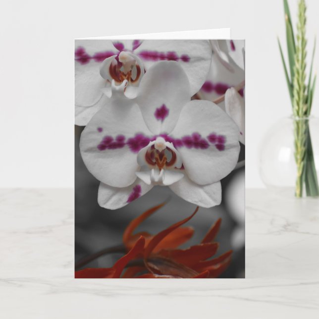 Orchidée, carte (Devant)