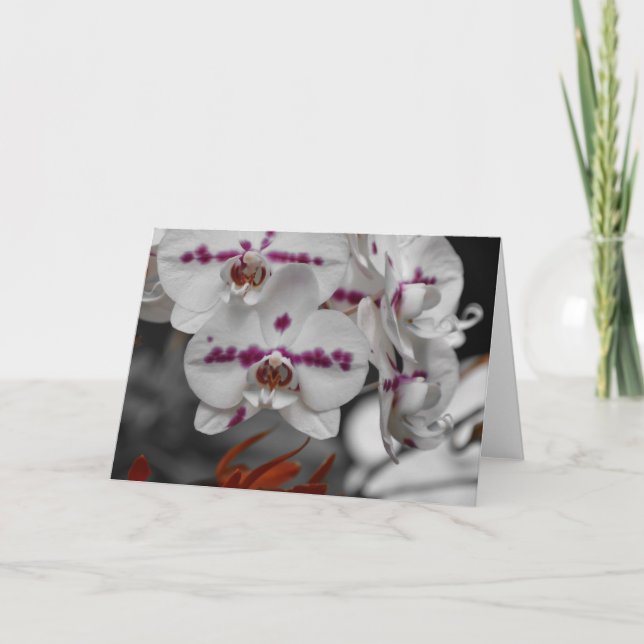 Orchidée, carte (Devant)