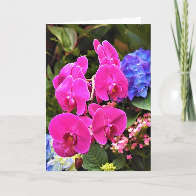 Orchidée, carte (Devant)