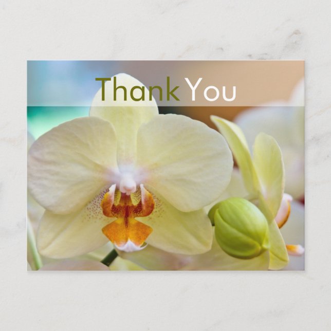 Orchidée ・ Carte postale Merci (Devant)