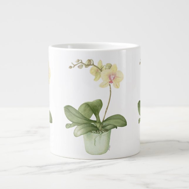 Orchidée dans le pot vert dans la grande tasse (Devant)
