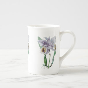 Orchidée de Cattleya Os botanique Chine Mug