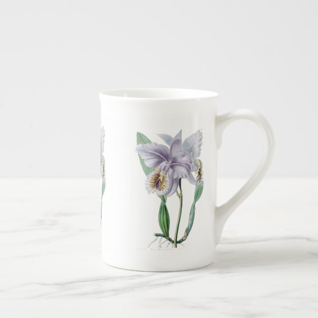 Orchidée de Cattleya Os botanique Chine Mug (Droite)
