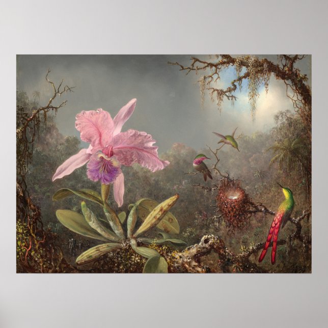 Orchidée de Cattleya - Poster d'art raffiné Martin (Devant)