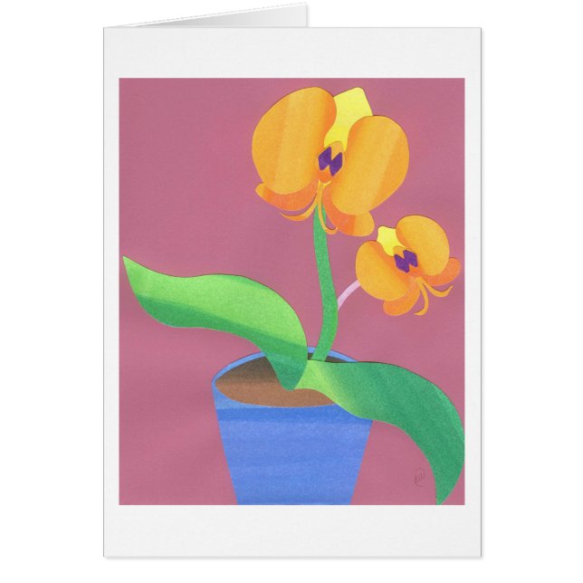 Orchidée de lever de soleil (Devant)