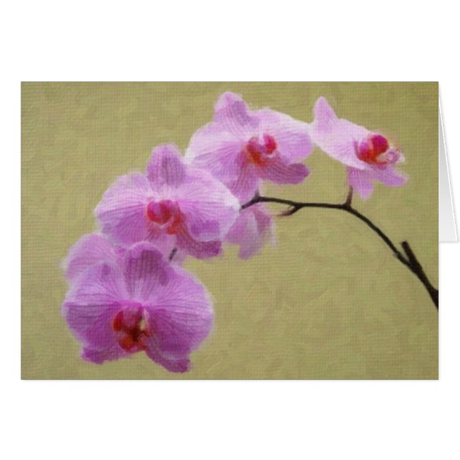Orchidée de Phalaenopsis (Devant Horizontal)