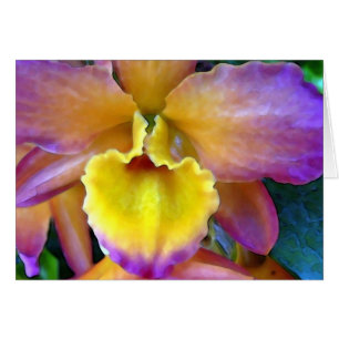 Orchidée de Tropicana