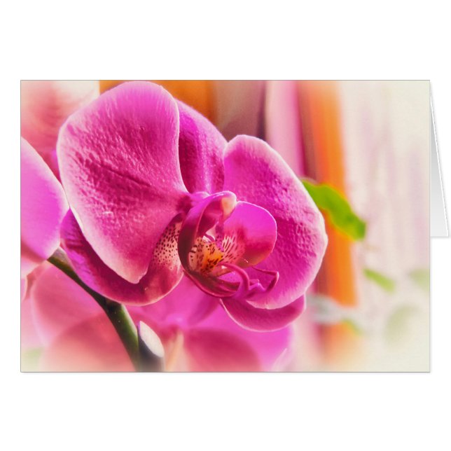 Orchidée diffuse (Devant horizontal)