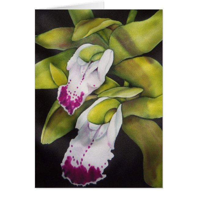 Orchidée du Cymbidium vert (Devant)