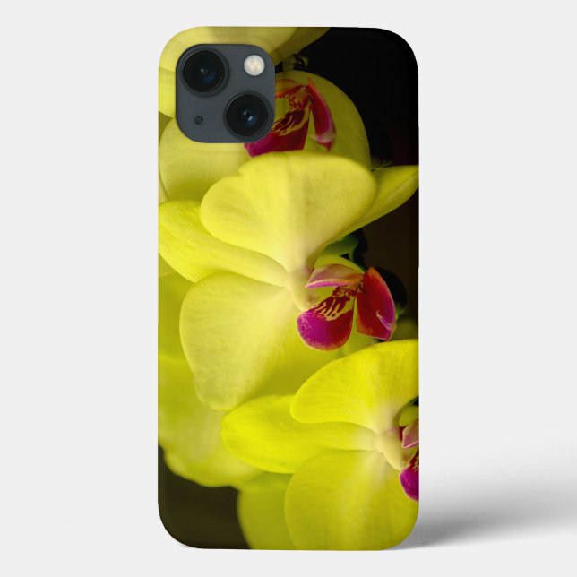 Orchidée jaune - coque ipad (Verso)