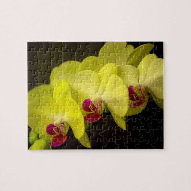 Orchidée jaune - Puzzle photo (Horizontal)