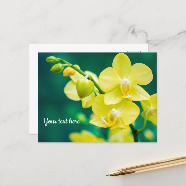 Orchidée jaune sur carte postale verte (Devant/Arrière en situation)