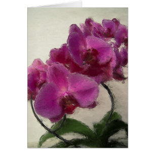 Orchidée pourpre