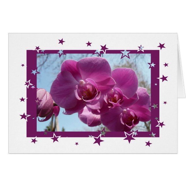 Orchidée pourpre (Devant horizontal)