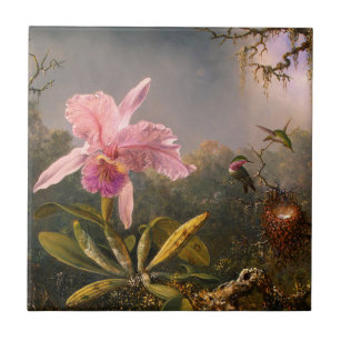 Orchidée rose et trois carreaux de colibris