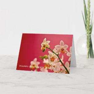Orchidée rouge • Carte heureuse du jour de mère