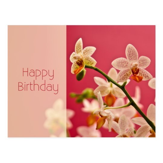 Orchidee Rouge Carte Postale D Anniversaire Zazzle Fr