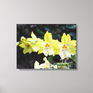 Orchidée Trio toile enroulée Imprimer