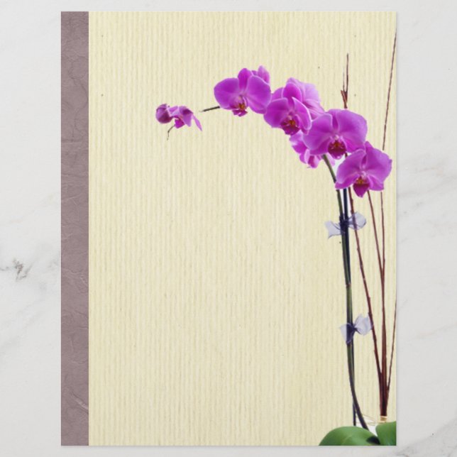 Orchidée violette (Devant)