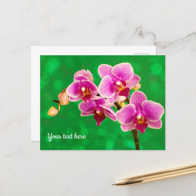 Orchidée violette sur carte postale verte (Devant/Arrière en situation)