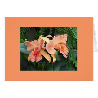 Orchidées