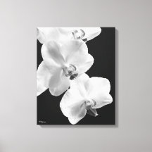 Orchidées 16X20 en toile blanche et noire