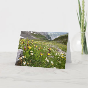 Orchidées à chaux de dame - Carte de voeux