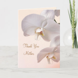 Orchidées blanches - crème Mariage. Merci Mère