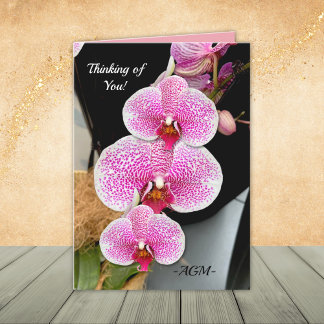 Orchidées blanches et roses, cartes à notes