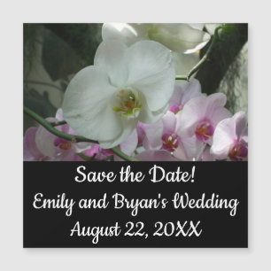 Orchidées blanches et violettes