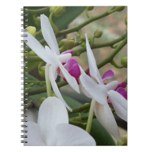Orchidées blanches et violettes sur un carnet prat