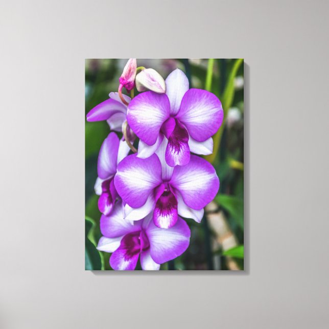Orchidées blanches et violettes voir impression de (Recto)
