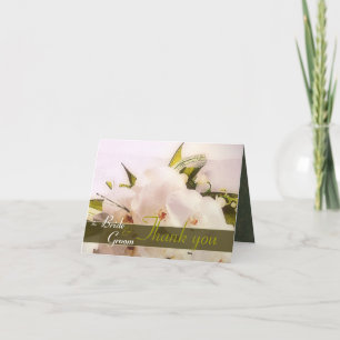 Orchidées blanches merci