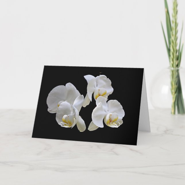 Orchidées blanches sur le noir - carte élégante (Devant)